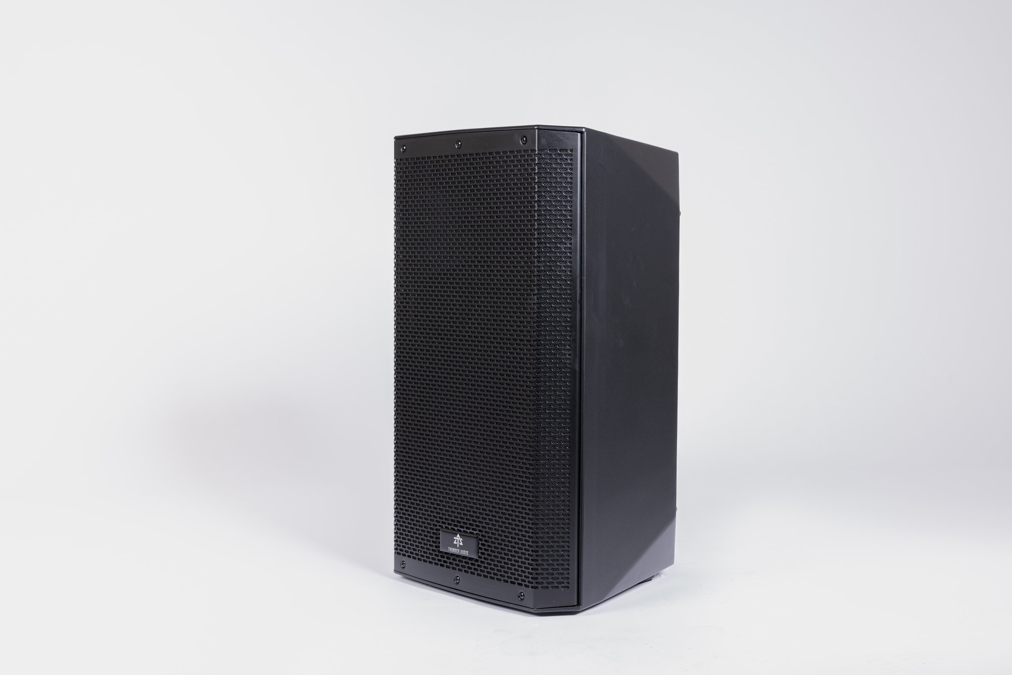 Thunder Audio X115A Professional Speaker Rear Controls